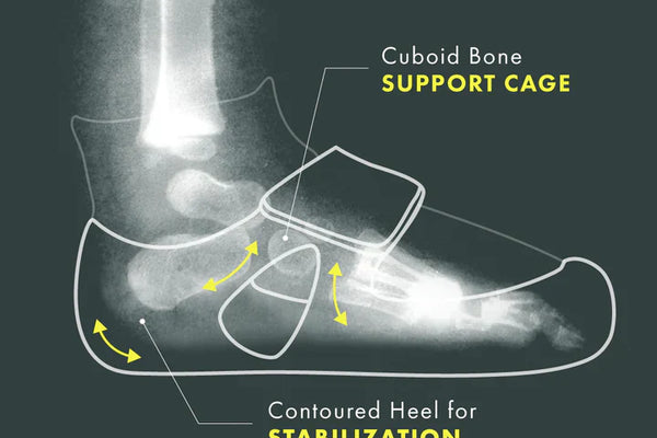 The Cuboid Bone, Explained: The Tiny Fulcrum Behind First Steps