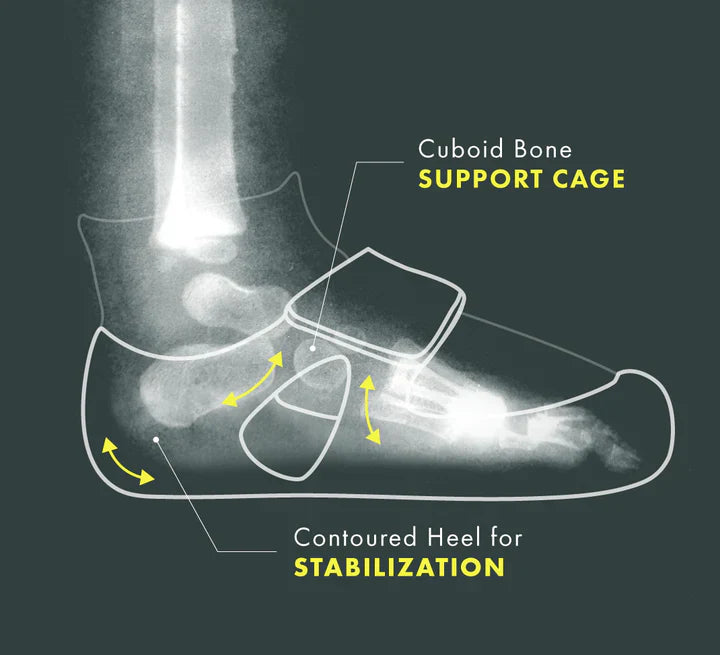 Diagram of a cuboid bone showing how healthy shoes for babies support first steps. 